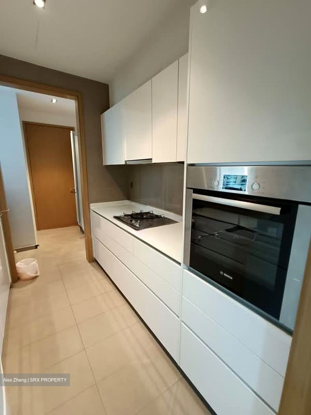 Skyline Residences (D4), Condominium #570637321